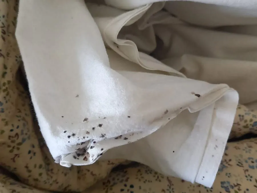 Tmavé bodky po plošticiach na posteľnej bielizni