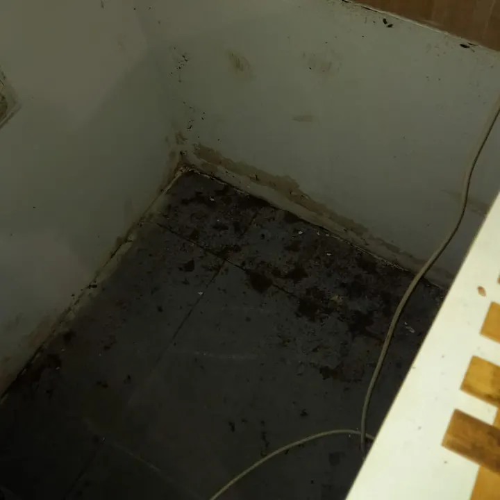 Myší trus na dne kuchynskej skrinky